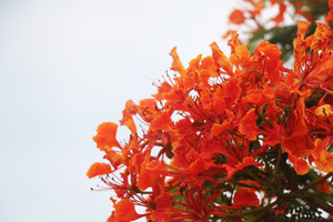 0353_deigo 0353_deigo