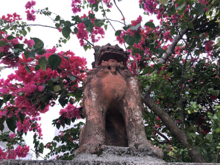 八十八夜。沖縄のお茶どころ「奥」を訪ねる旅へ。
