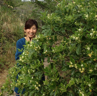 お花がいっぱい
