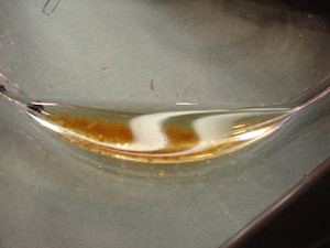Dsc01856
