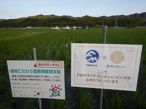 Dscn1156