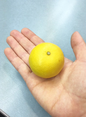 Fullsizerender_27
