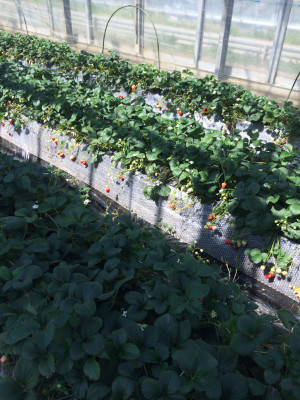 Photo_2