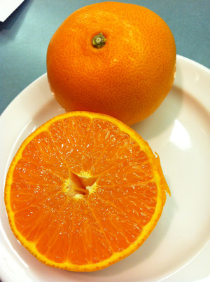 Photo_2