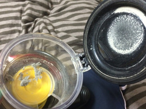 Photo_3