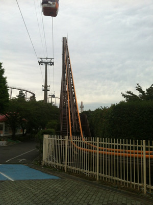 Photo_3