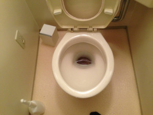 Photo_3