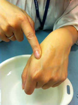 Photo_3