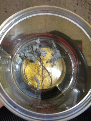Photo_4