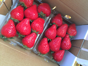 Photo_4