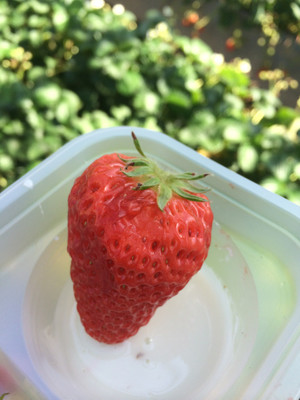 Photo_6