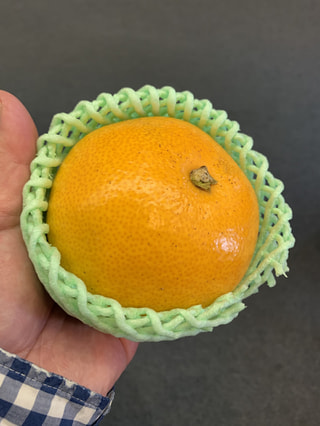 昔なつかしい味、八朔（はっさく）がむしろ今、人気らしい。