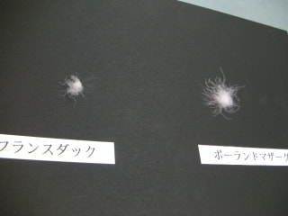 人生の３分の１を、幸せに。