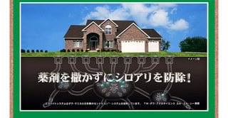 シロアリの無料点検調査！