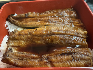 秋のグルメに、良いウナギを！鹿児島県産うなぎ蒲焼5尾セット