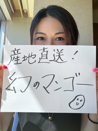 幻の絶品マンゴー再び！！！