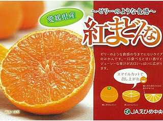 ゼリーのような食感！愛媛の新柑橘、紅まどんな！！