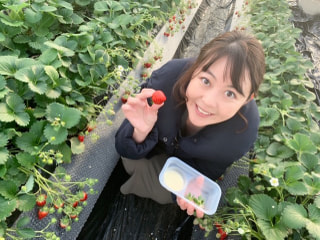 絶品イチゴが30分食べ放題！！！