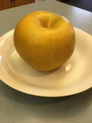 数量限定！毎年完売！旬の美味しい梨「豊水」