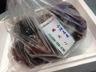 小坪の地ダコ！豊漁のおすそ分けです！