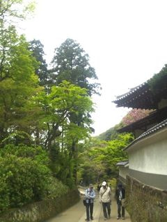 あじさいのお茶会へのお誘い。