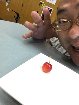 カワイイ旬の味覚、やっぱり東根のさくらんぼ・佐藤錦！