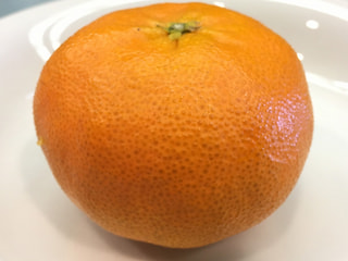 甘平、柑橘のトップをうかがう有望品種をぜひご体験ください