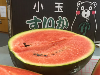 旨いッＪＡ熊本市北部「一番生り」の黒小玉スイカひとりじめBONBON