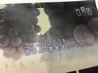 秋の行楽の目的地に、古寿園さんのブドウ狩りはいかが？