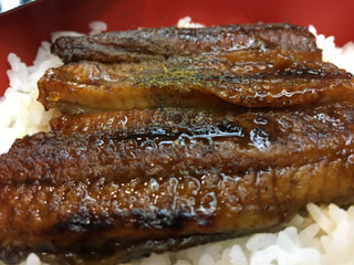 吉野家冷凍うなぎ蒲焼で、鰻祭り開催（おひとり様でも）！！