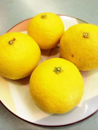 神奈川生まれの美味しい柑橘☆