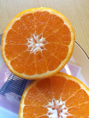 ほっぺが落ちそうな柑橘