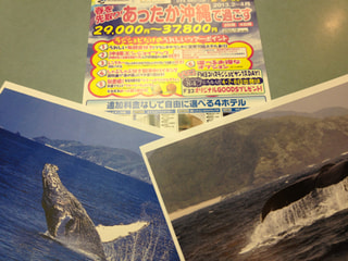 春休みに格安で行く沖縄ツアー！
