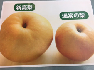 KING OF 梨★新高ラジショピ初登場！（限定数アリ）