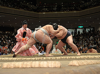 FヨコハマDJと一緒に大相撲観戦バスツアーを楽しもう！