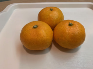 甘くて味も濃厚な絶品の早生みかん！！
