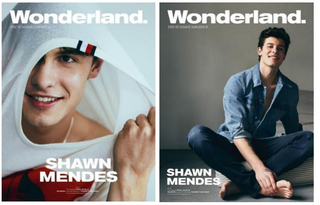 Shawn Mendes特集＆WannaOneユニット情報、トッケビOST特集