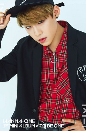 Wannaone14 Wannaone14
