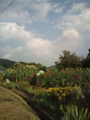 20110812164404
