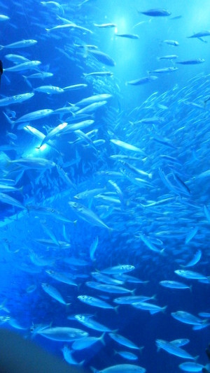 2011082014580000