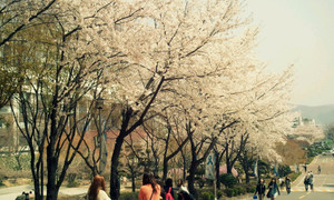 20120416122147