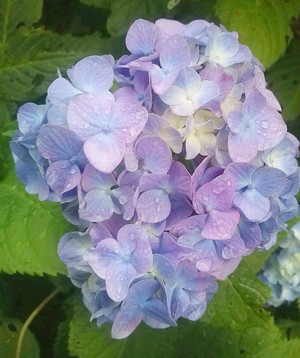 20120611075754