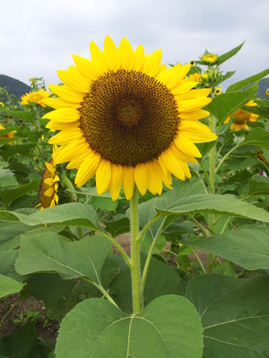 20120730_094316