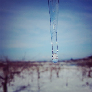20140106084659_deco