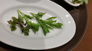 20150325_171136
