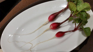 20150325_171140