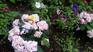 20160511_073056