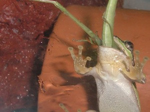 Image0014_2
