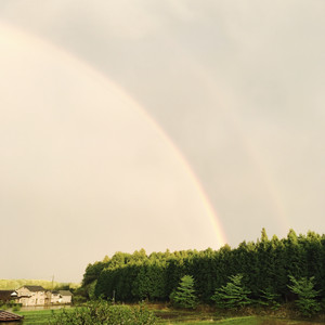Image1495_2