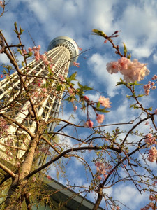 Photo_3